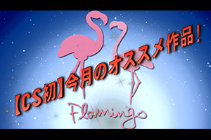 【CS初】今月のオススメ作品！