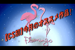 【CS初】今月のオススメ作品！