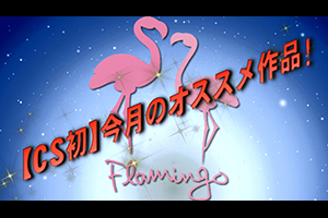 【CS初】今月のオススメ作品！