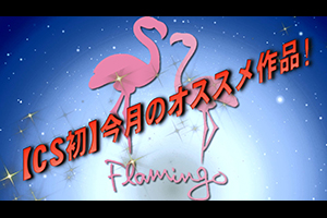 【CS初】今月のオススメ作品！